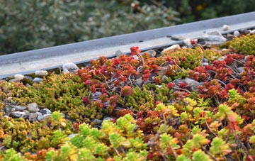 the cost of The Humbers green roof installation
