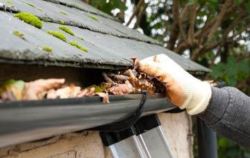 gutter cleaning The Humbers, Shropshire