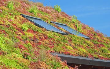 The Humbers living roof systems